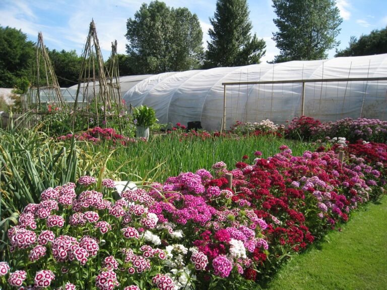 960px Garden at Rare Breeds Centre   geograph.org .uk   1939566 768x576