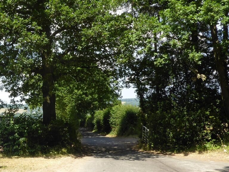960px The entrance to Stonepitts Farm   geograph.org .uk   5847307 1 768x576